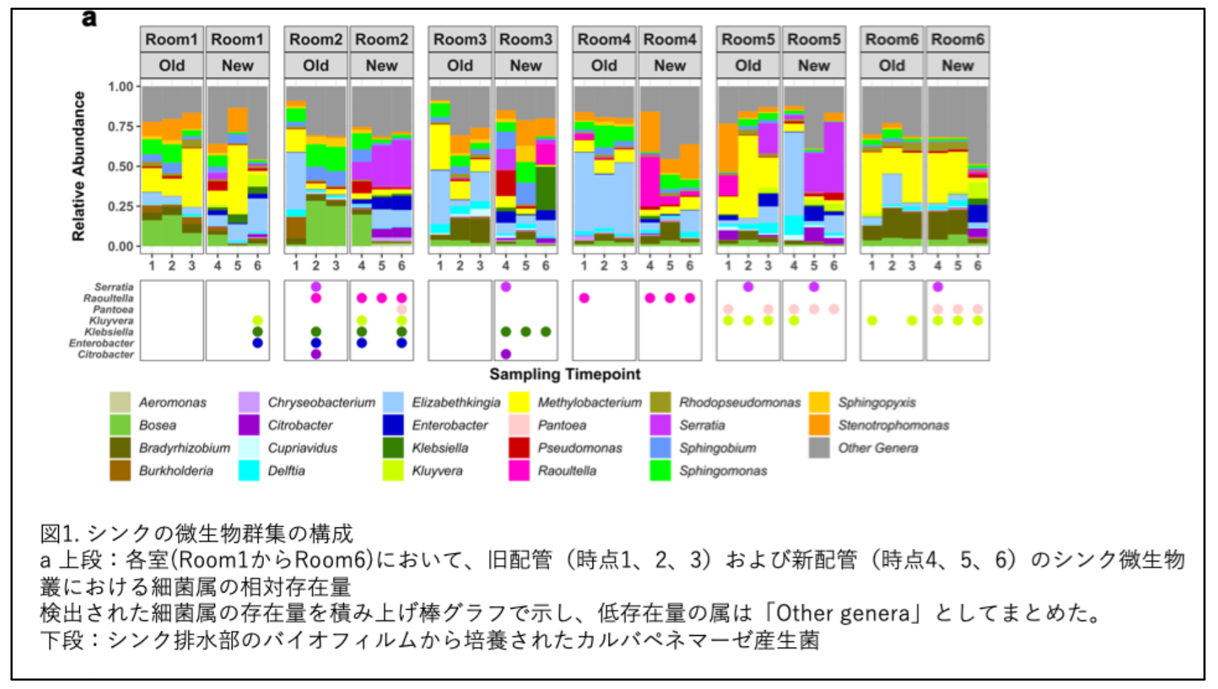 病院のシンク排水口におけるバイオフィルム除去は意図せず薬剤耐性の